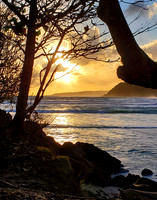 Hawaii2020