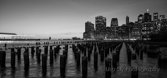 Skyline from East River