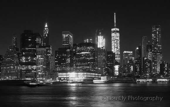 Skyline from East River