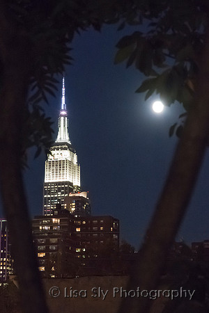 Empire by moonlight